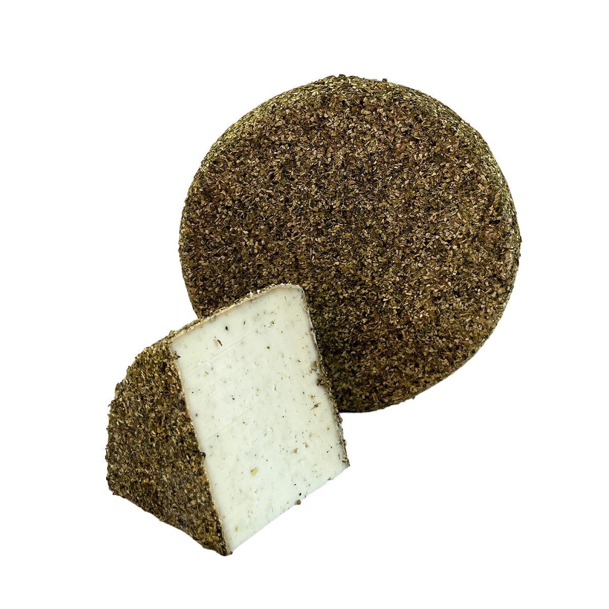 Capra di Montagna Daslook/Klaver